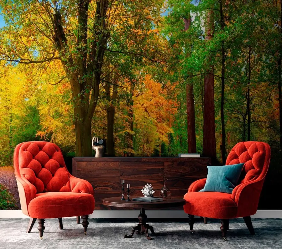 Fotobehang Begin van de herfst u08547