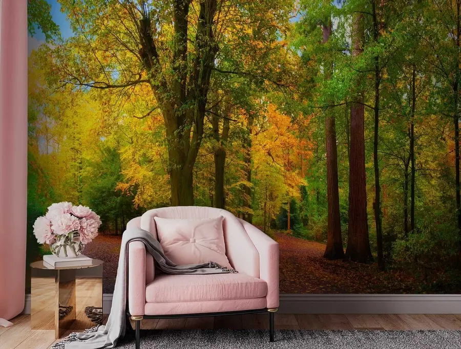 Fotobehang Begin van de herfst u08547