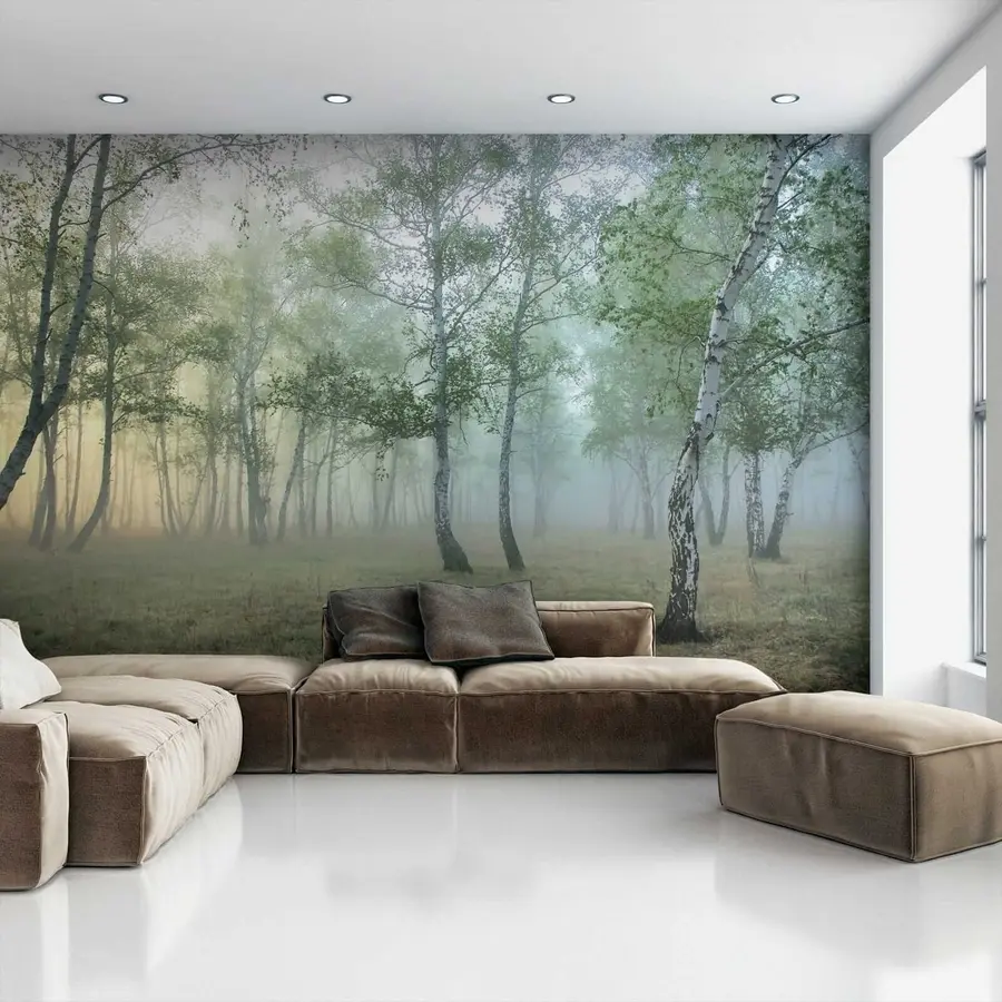 Fotobehang Mist berkenbos u25820
