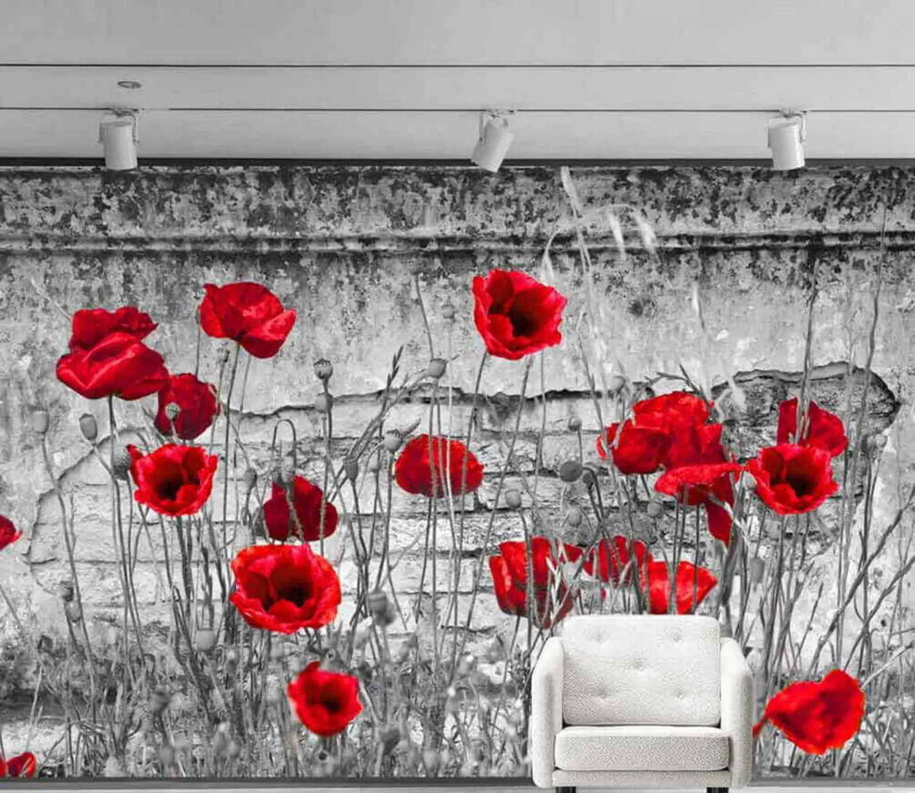 Fotobehang Heldere papavers op de achtergrond van de muur u40552