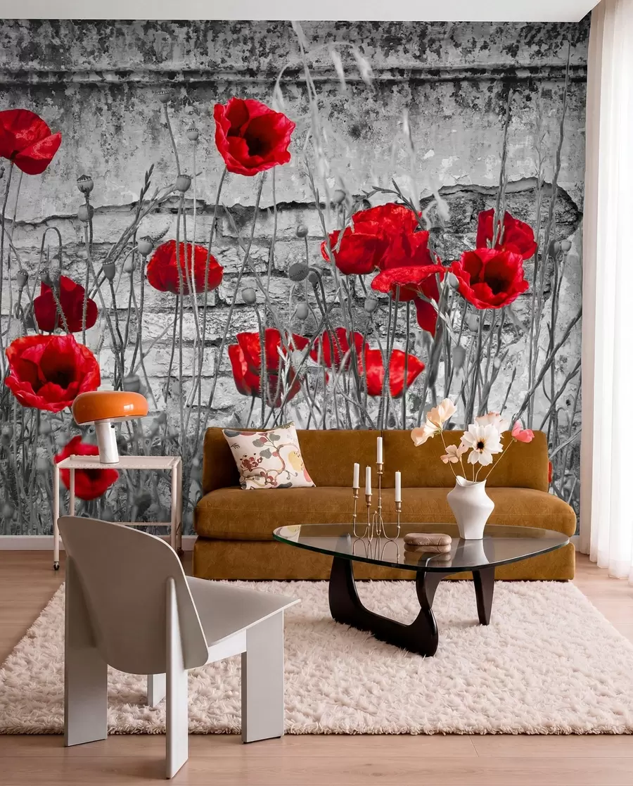 Fotobehang Heldere papavers op de achtergrond van de muur u40552