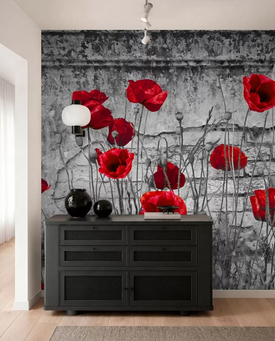 Papier peint photo Coquelicots lumineux en arrière-plan du mur u40552