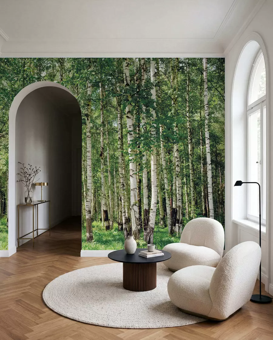 Fotobehang Berken bos u52530