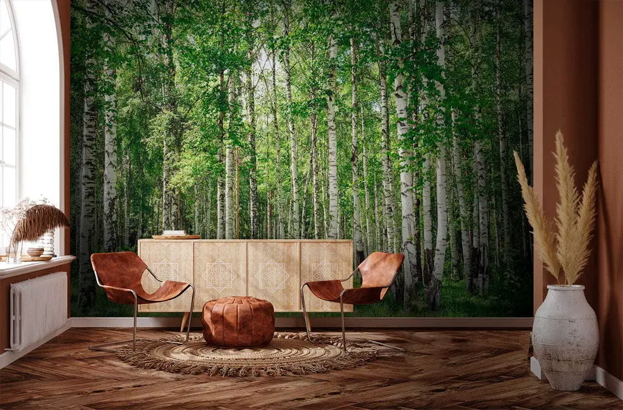 Fotobehang Berken bos u52530