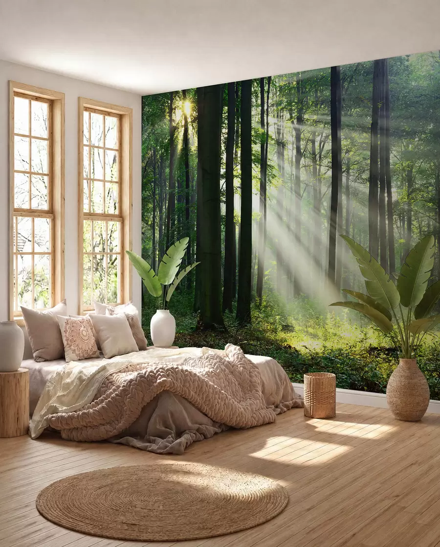 Fotobehang Zon tussen de bomen u56787