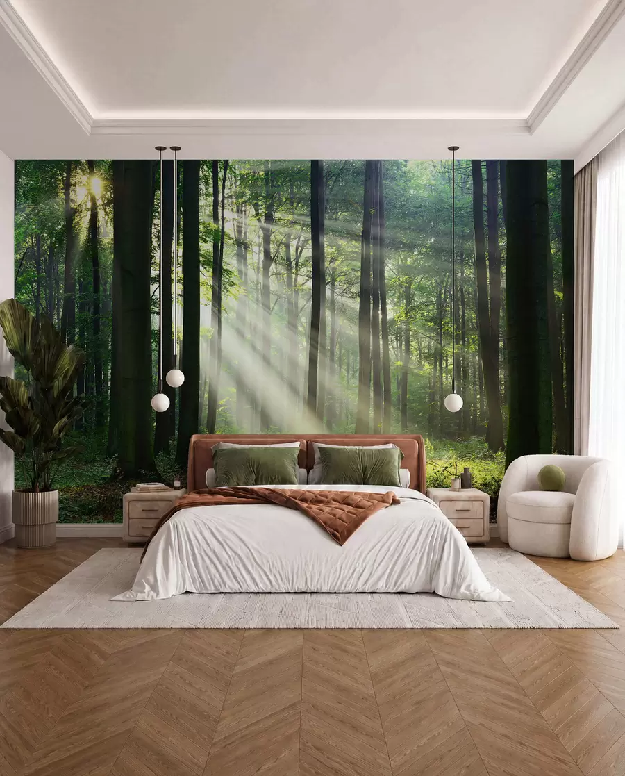 Fotobehang Zon tussen de bomen u56787
