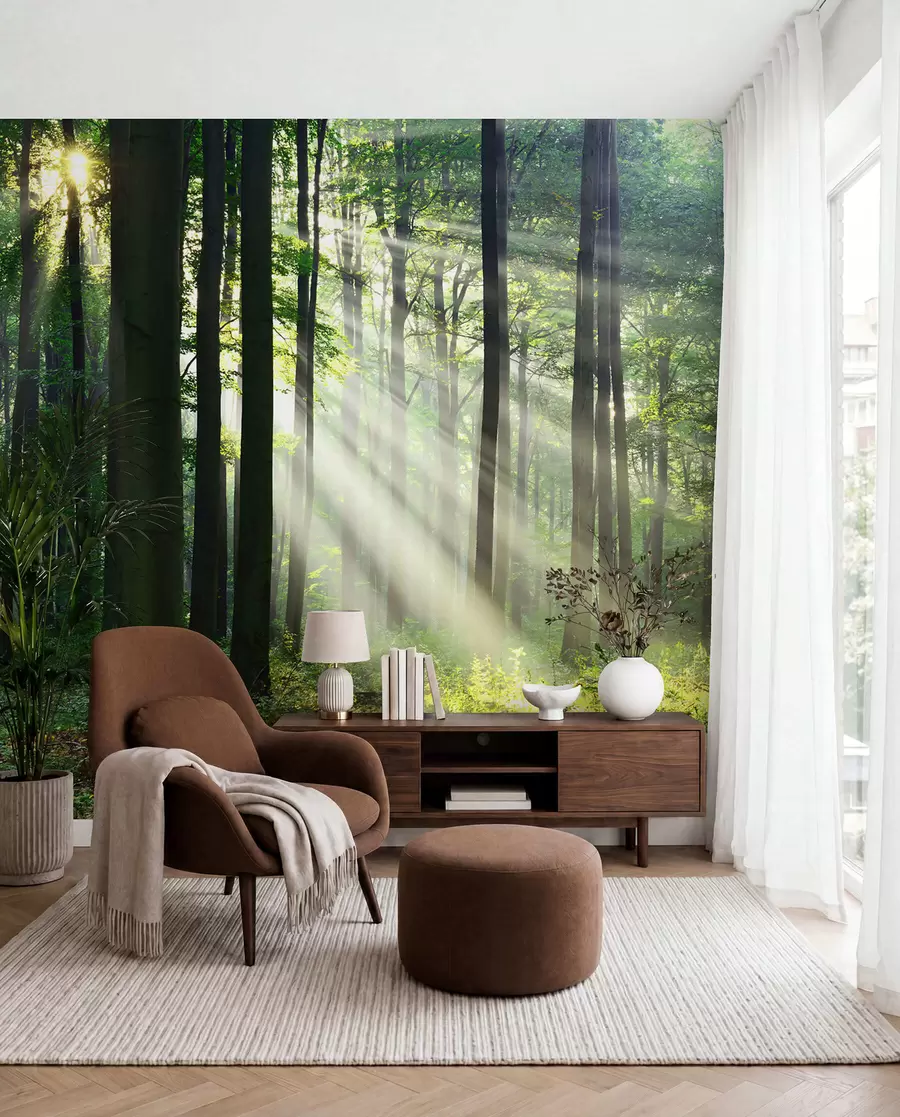 Papier peint photo Rayons de soleil dans la forêt u56787