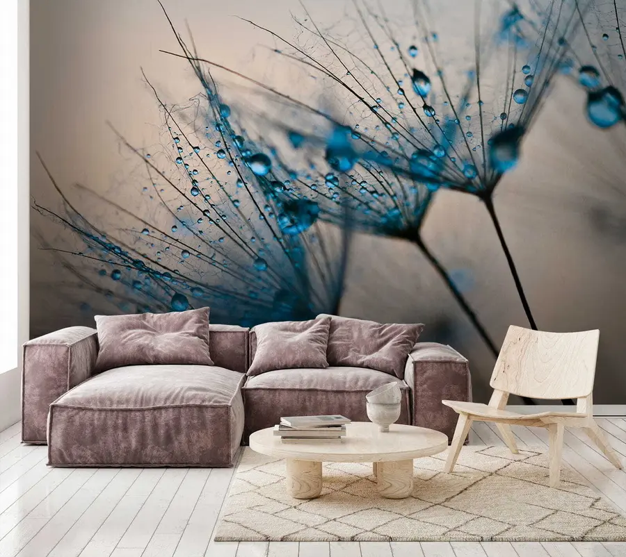 Fotobehang Paardebloemen met druppels water u57557