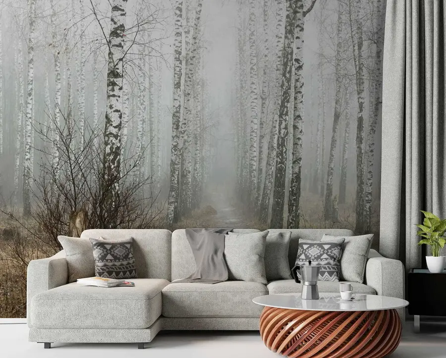 Papier peint photo Bouleaux dans la brume u58950