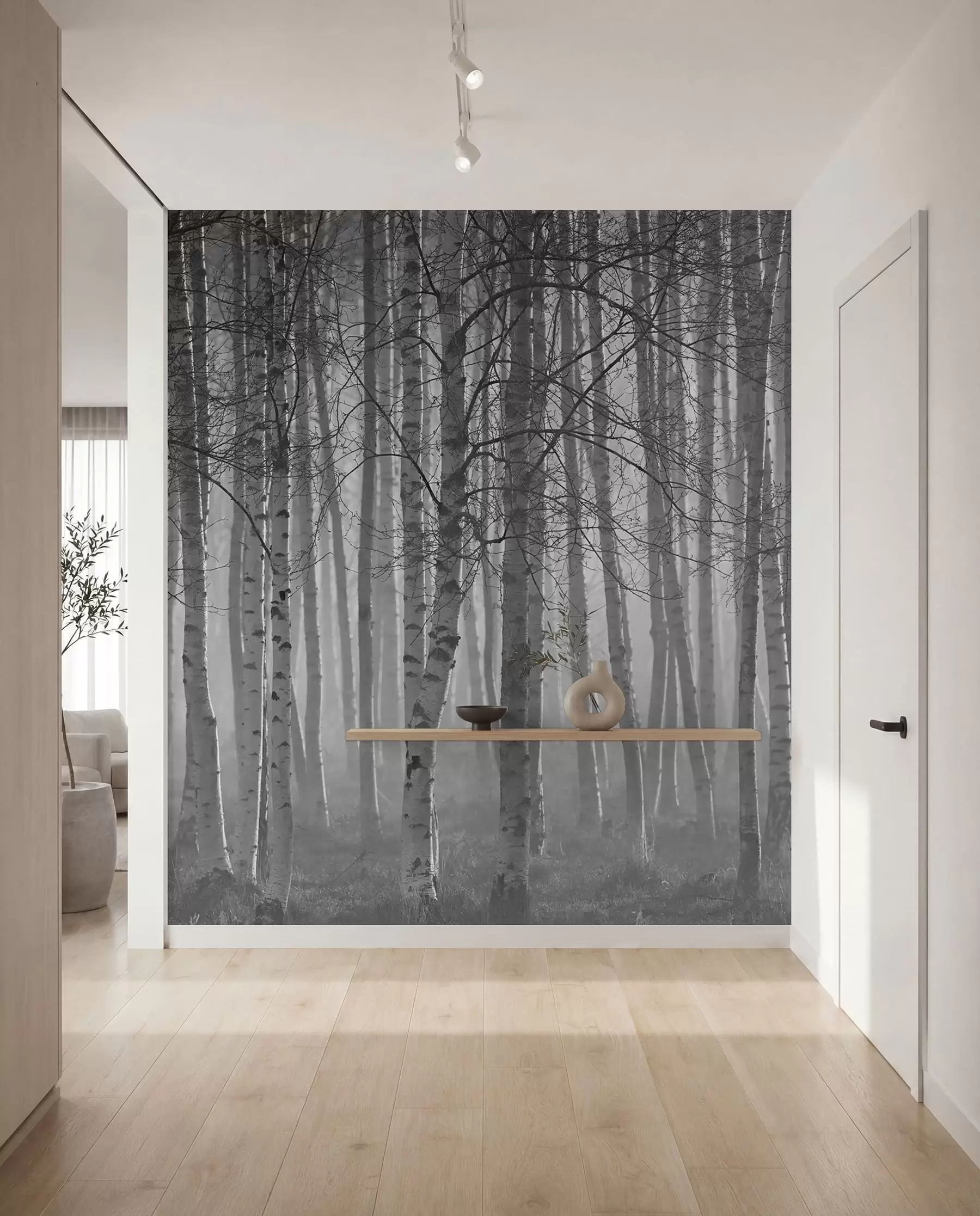 Papier peint photo Brume matinale dans la forêt de bouleaux u58971