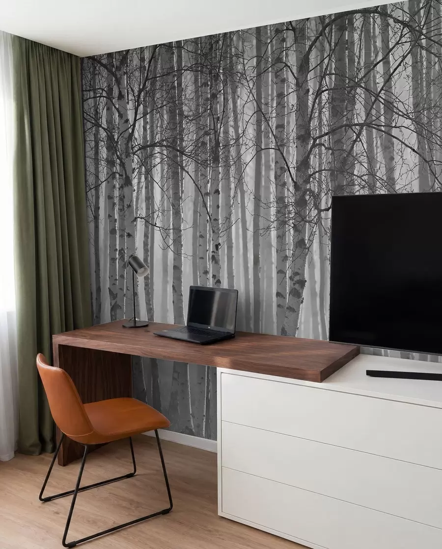 Fotobehang Ochtendmist in het berkenbos u58971
