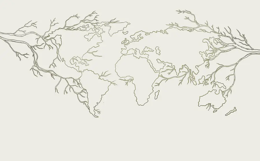 Papier peint photo Carte du monde, branches d'arbre, dessin au trait, minimalisme, nature, vert u99731v1