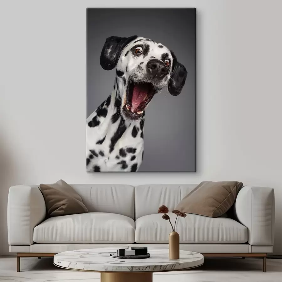 Fotobehang Opgewonden pup klaar voor plezier! s37752