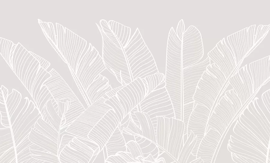 Fotobehang Tropische bananenbladeren minimalisme nieuwe trend w08210