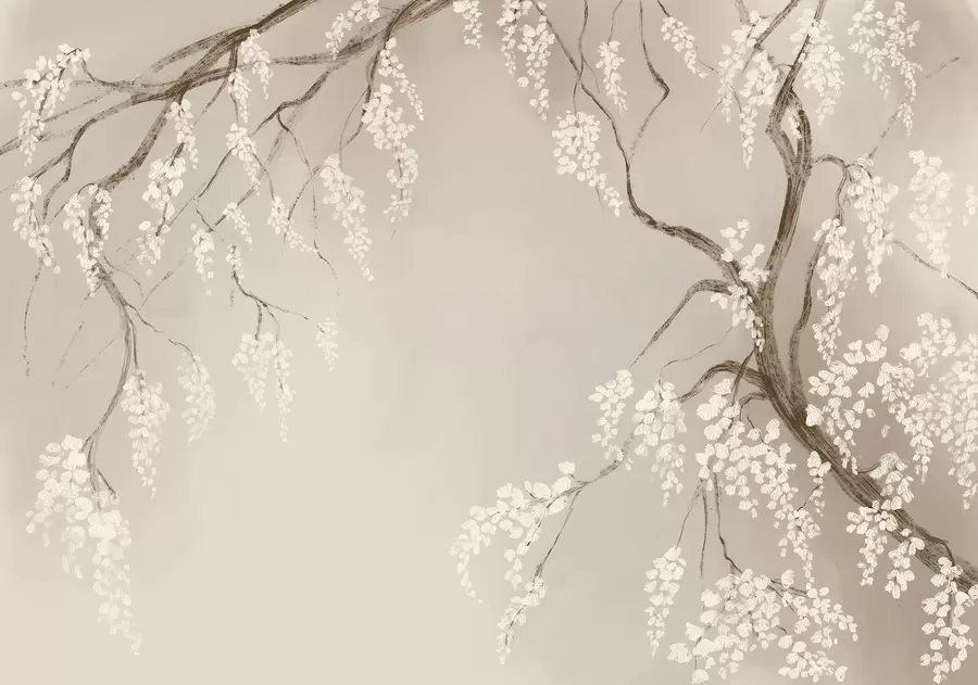 Fotobehang Delicate witte kersenboom met bloeiende bloemen op takken tegen beige achtergrond w08243