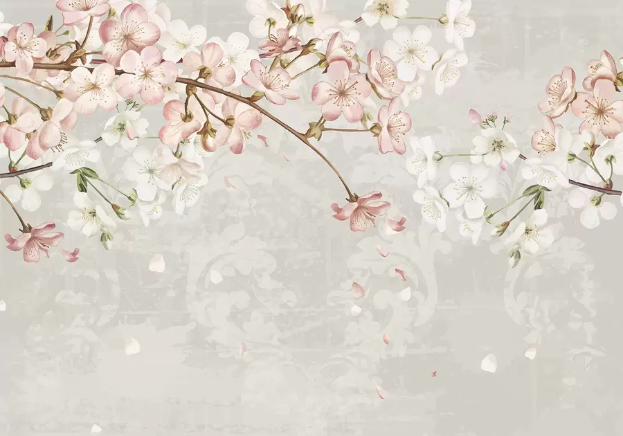 Fotobehang Roze en witte kersenbloesembloemen in volle bloei, met zachte bloemblaadjes tegen een beige achtergrond met textuur w08254v1
