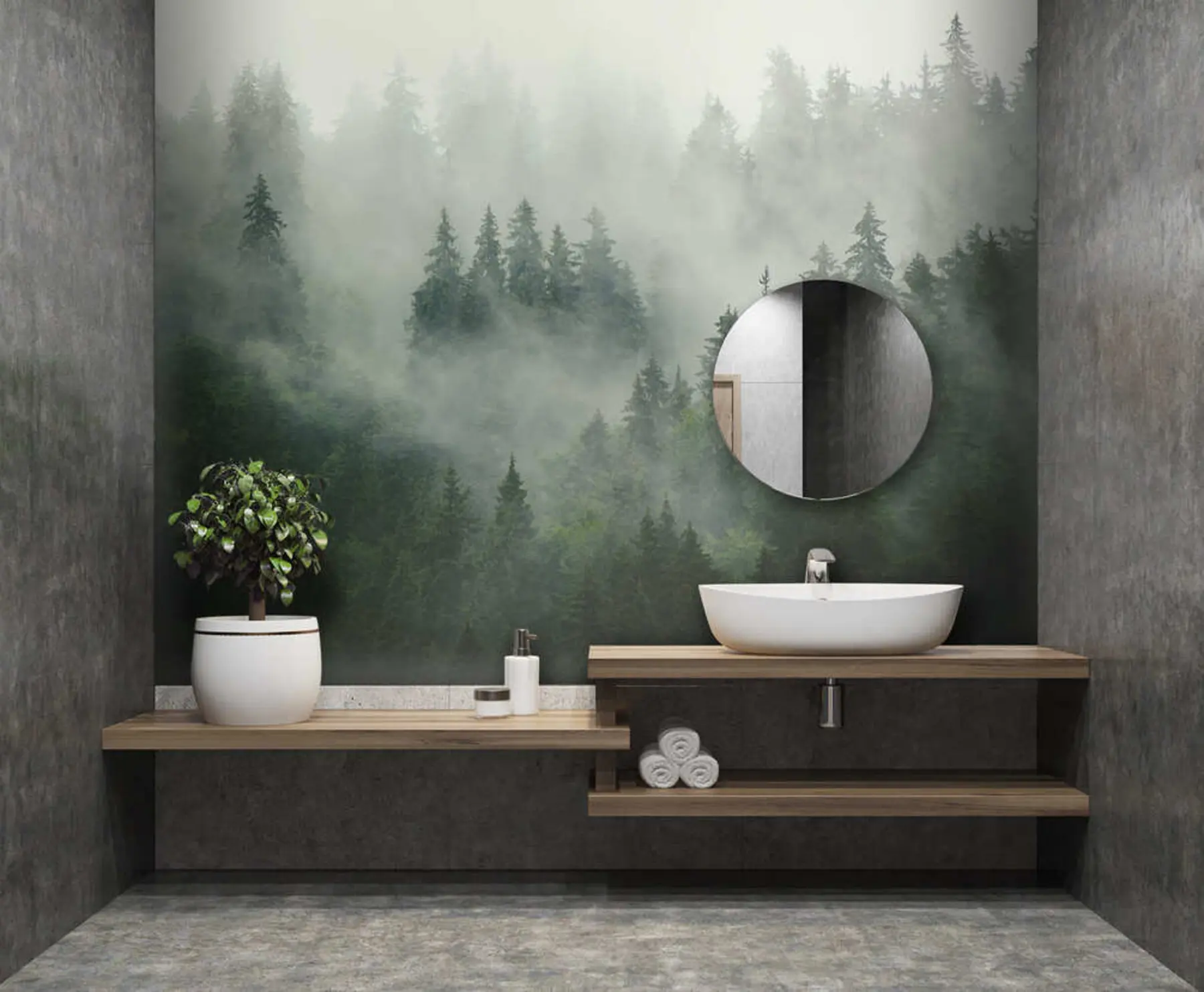 Fotobehang Mistige ochtend, bos u36439