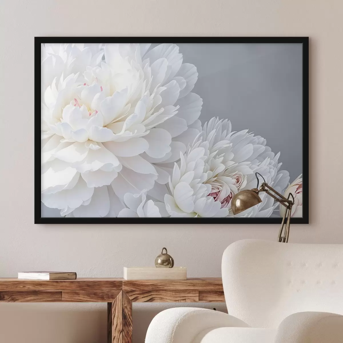 Affiche Fleurs de pivoines blanches aux pétales doux et délicats sur fond gris clair f41085
