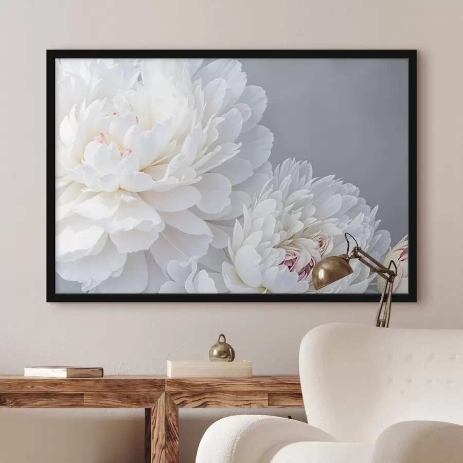 Fotobehang Witte pioenbloemen met zachte, delicate bloemblaadjes tegen een lichtgrijze achtergrond f41085