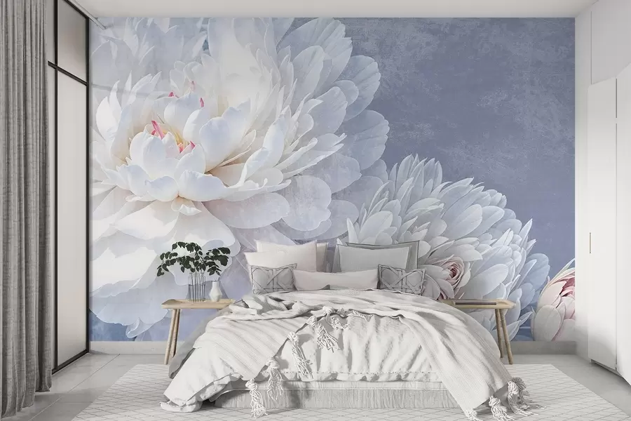 Papier peint photo Fleurs de pivoines blanches détaillées aux pétales doux et délicats sur un fond texturé bleu pastel clair w08379