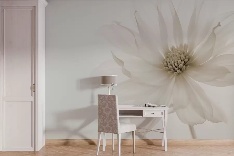 Fotobehang Delicate beige bloem op lichte achtergrond w02077v1