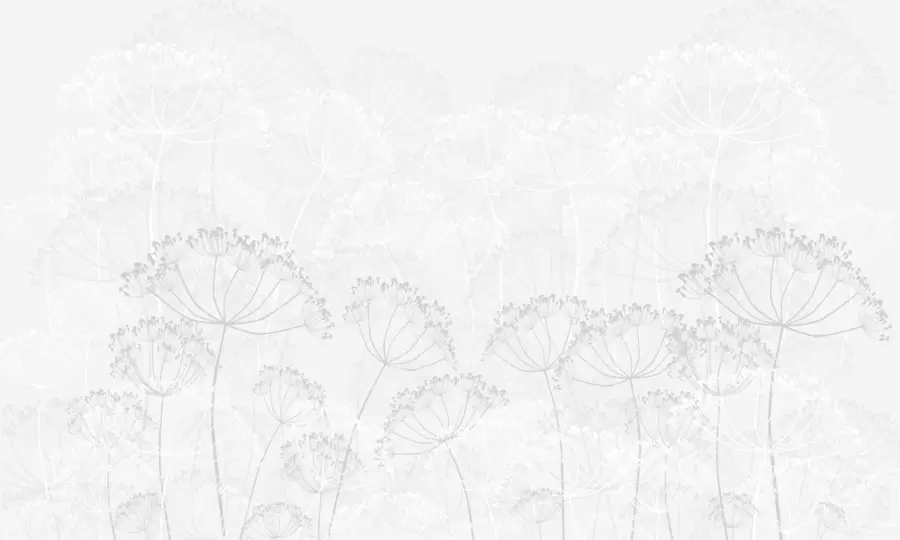 Papier peint photo Plantes fragiles minimalisme couleur grise w02105v2