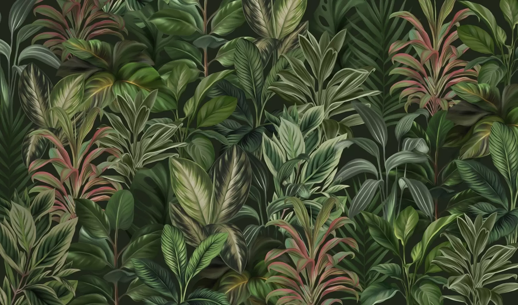 Papier peint photo Feuillage tropical vert épais w02126