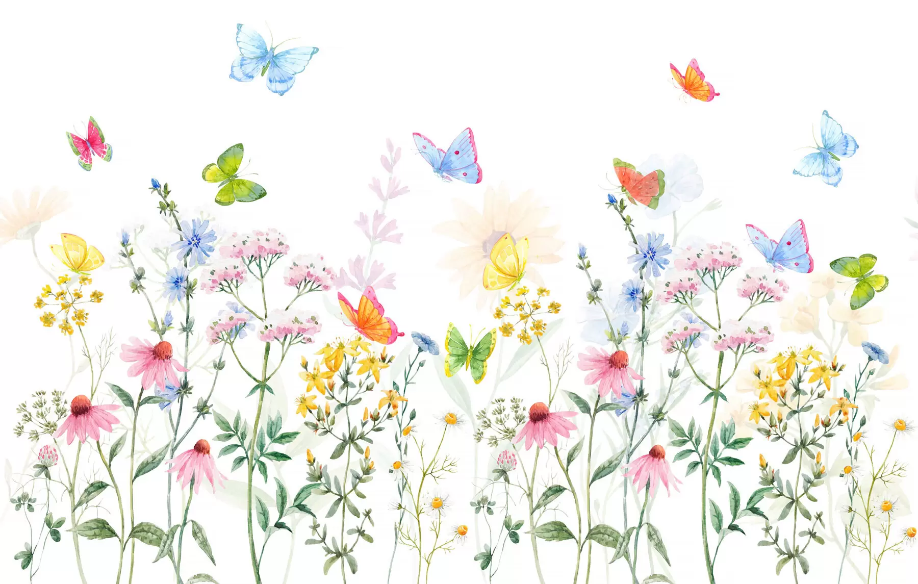 Papier peint photo Fleurs et plantes colorées et papillons w02238