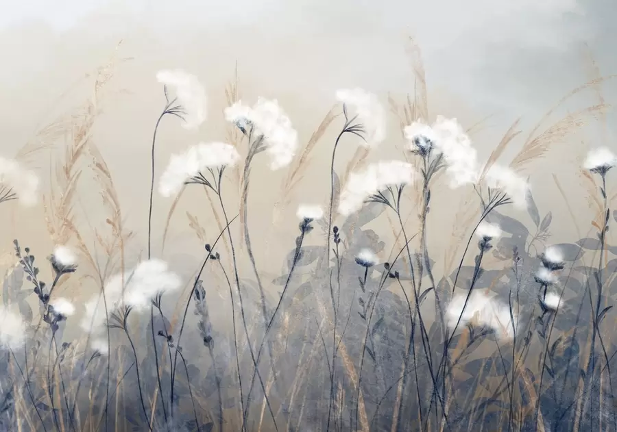 Papier peint photo Herbe blanche cotonneuse sur un fond texturé flou, dans une atmosphère douce, brumeuse et sereine w08416
