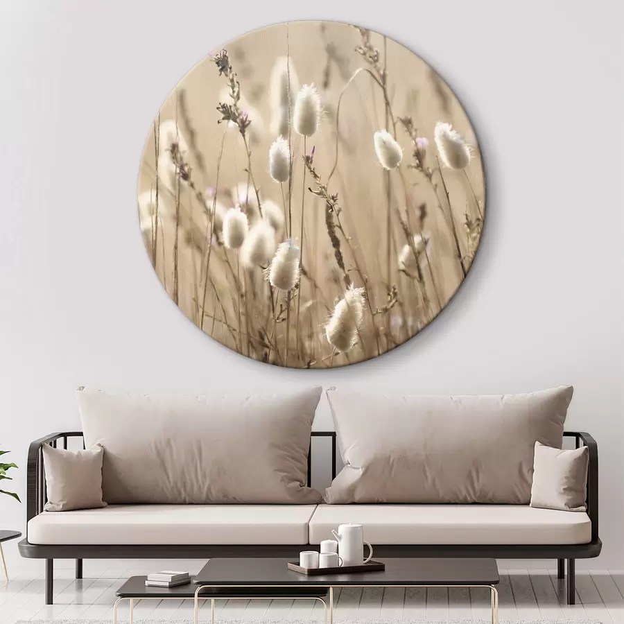  Schilderijen Pluizige grassen in een zonovergoten weide r35256