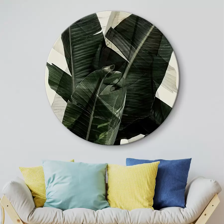  Schilderijen Plant, landplant en bananenblad r21747