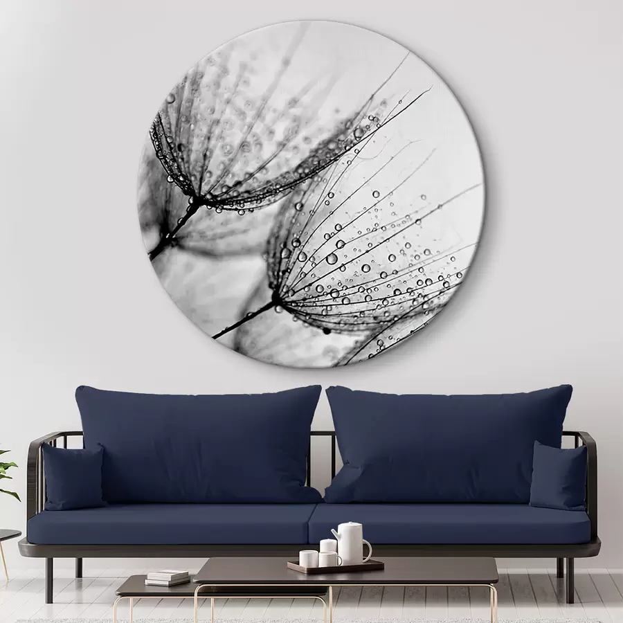  Schilderijen Plant, twijg en lijn r20828