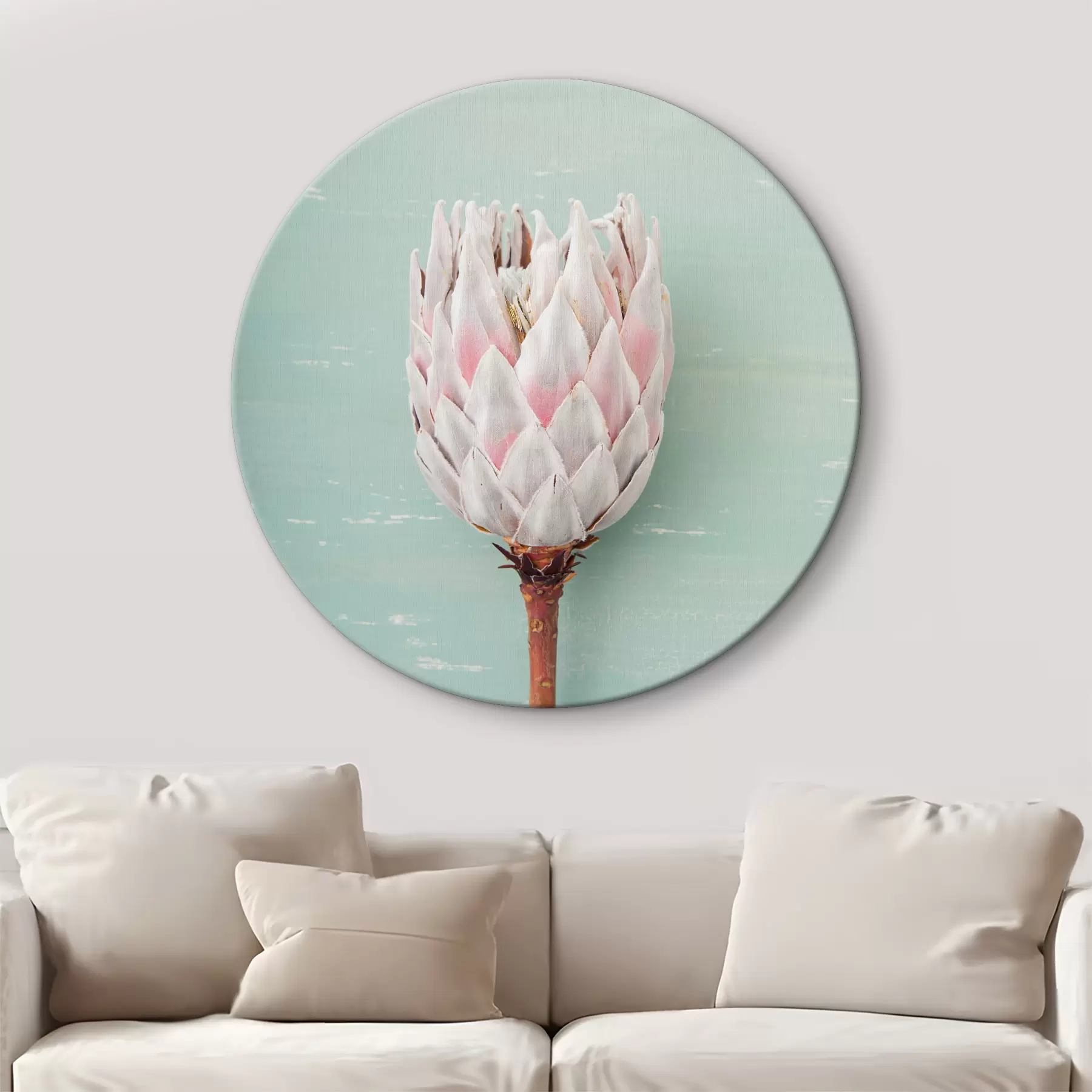  Schilderijen Witte Protea r36695