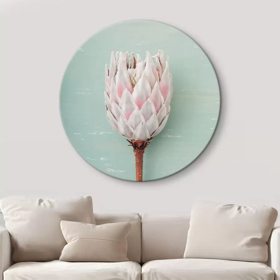  Schilderijen Witte Protea r36695