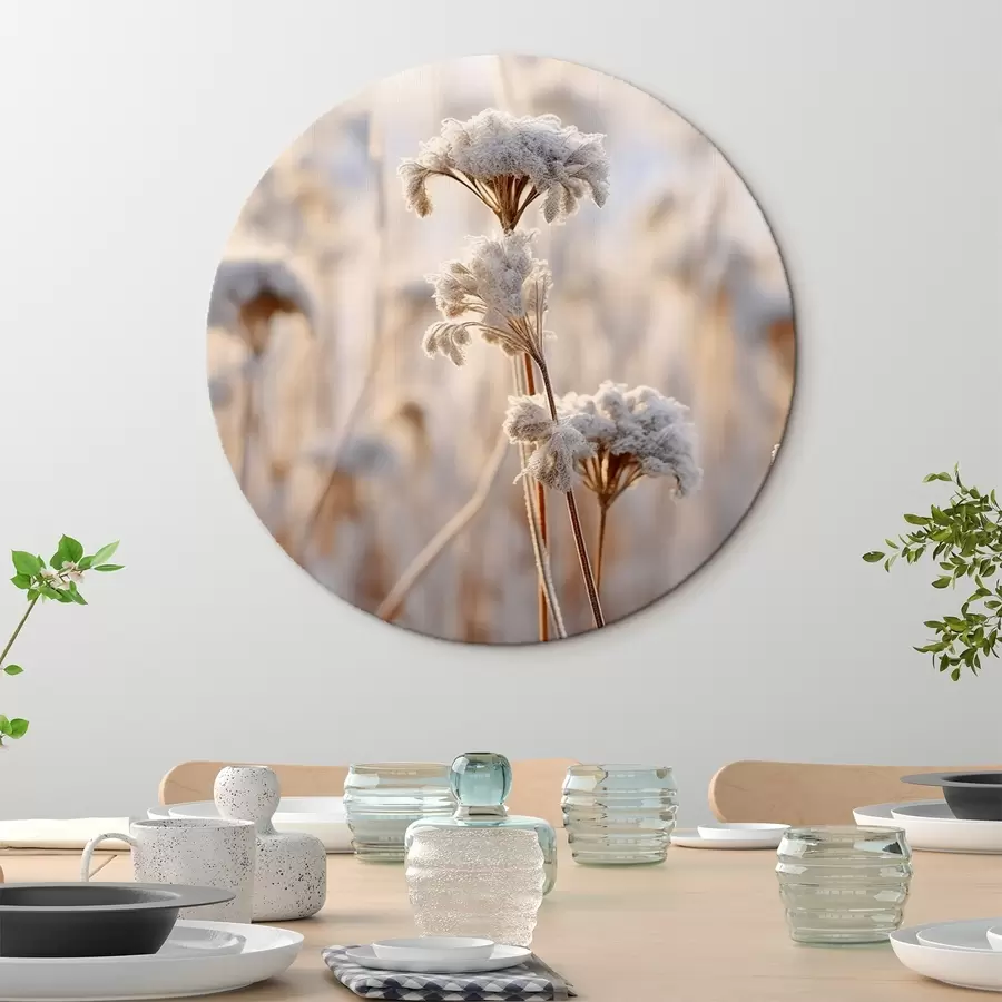  Schilderijen Droog gras bedekt met vorst r41283