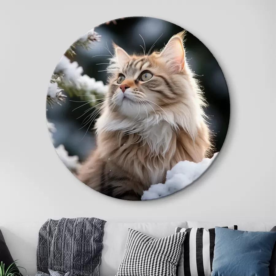  Schilderijen Een pluizige roodharige kat zit in de sneeuw op een donkere achtergrond r41435