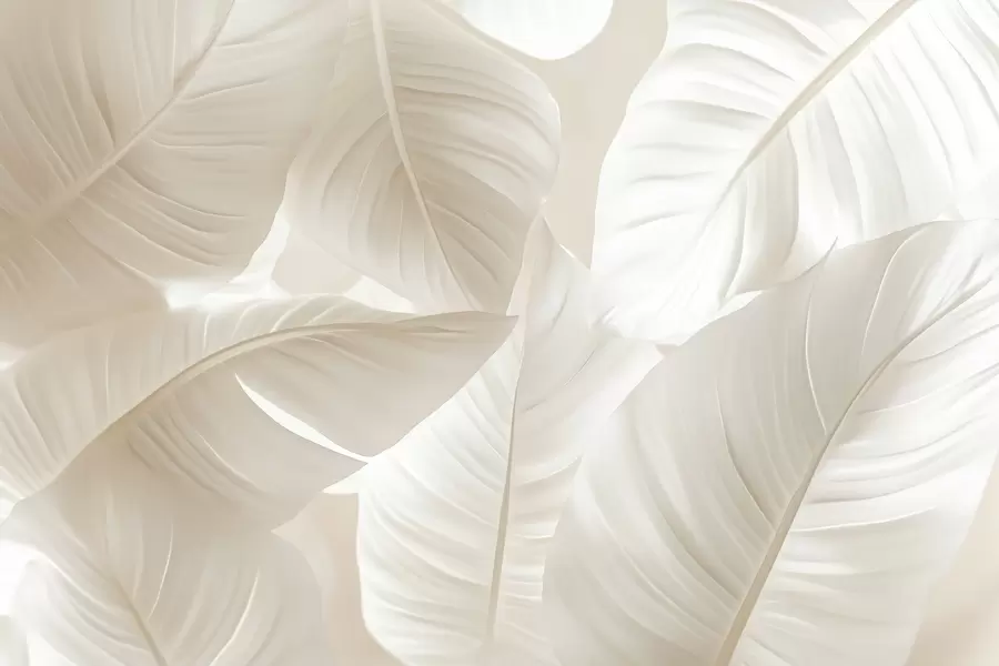 Papier peint photo Grandes feuilles délicates w08565