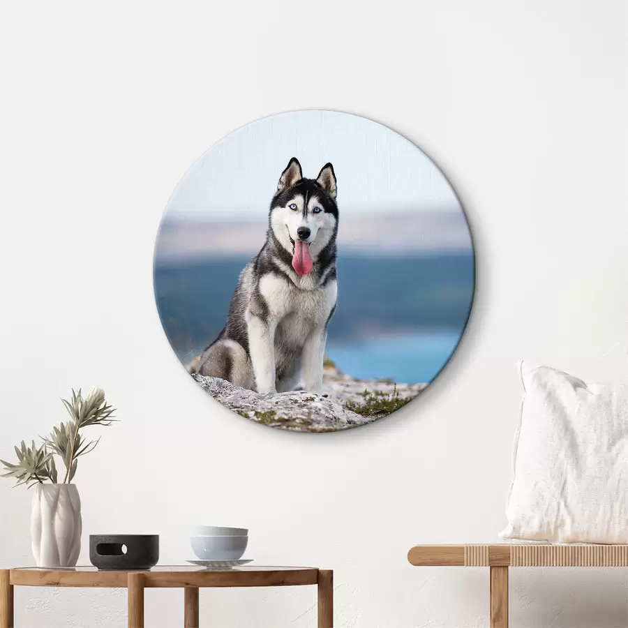  Schilderijen Lucht, water en hond r15711