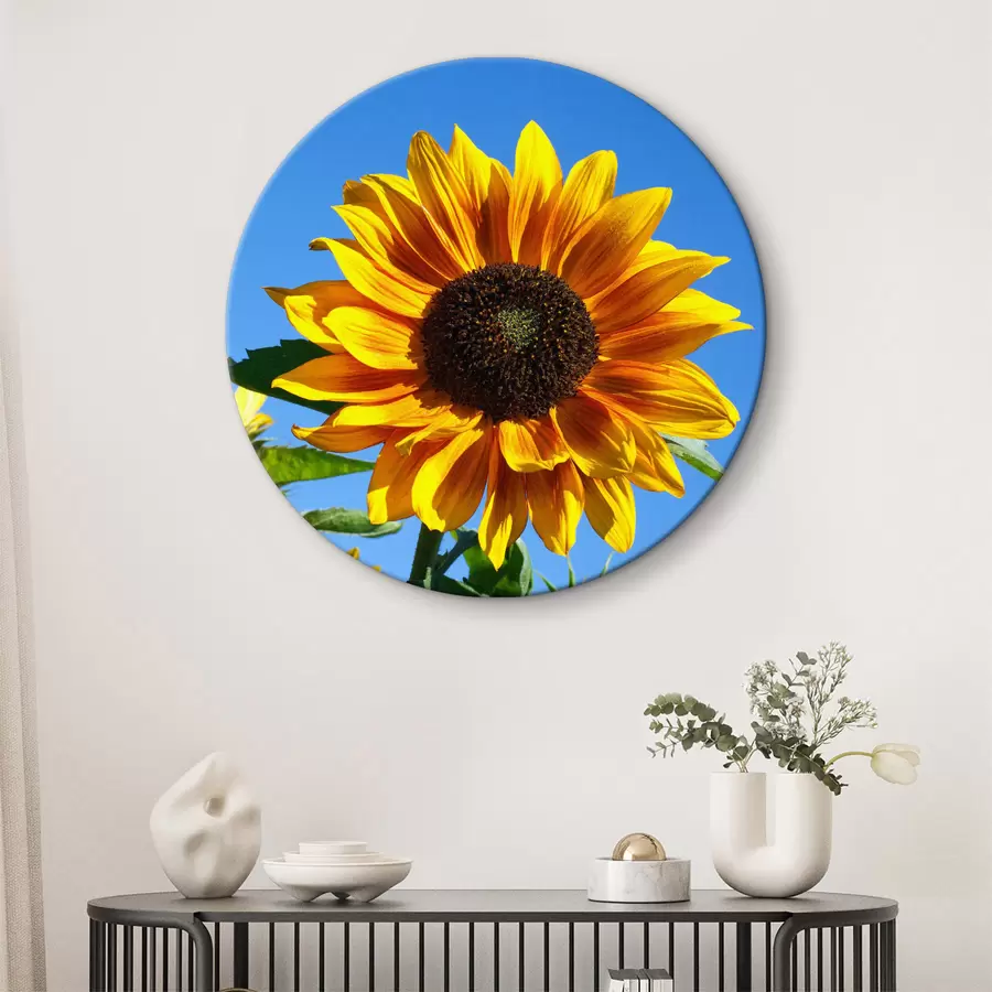  Schilderijen Bloem, plant en lucht r27692