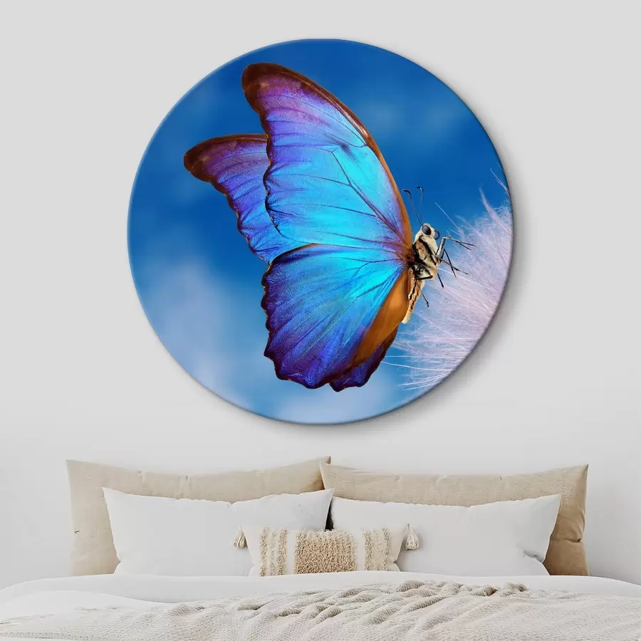  Schilderijen Vlinder op een paardenbloem r34923