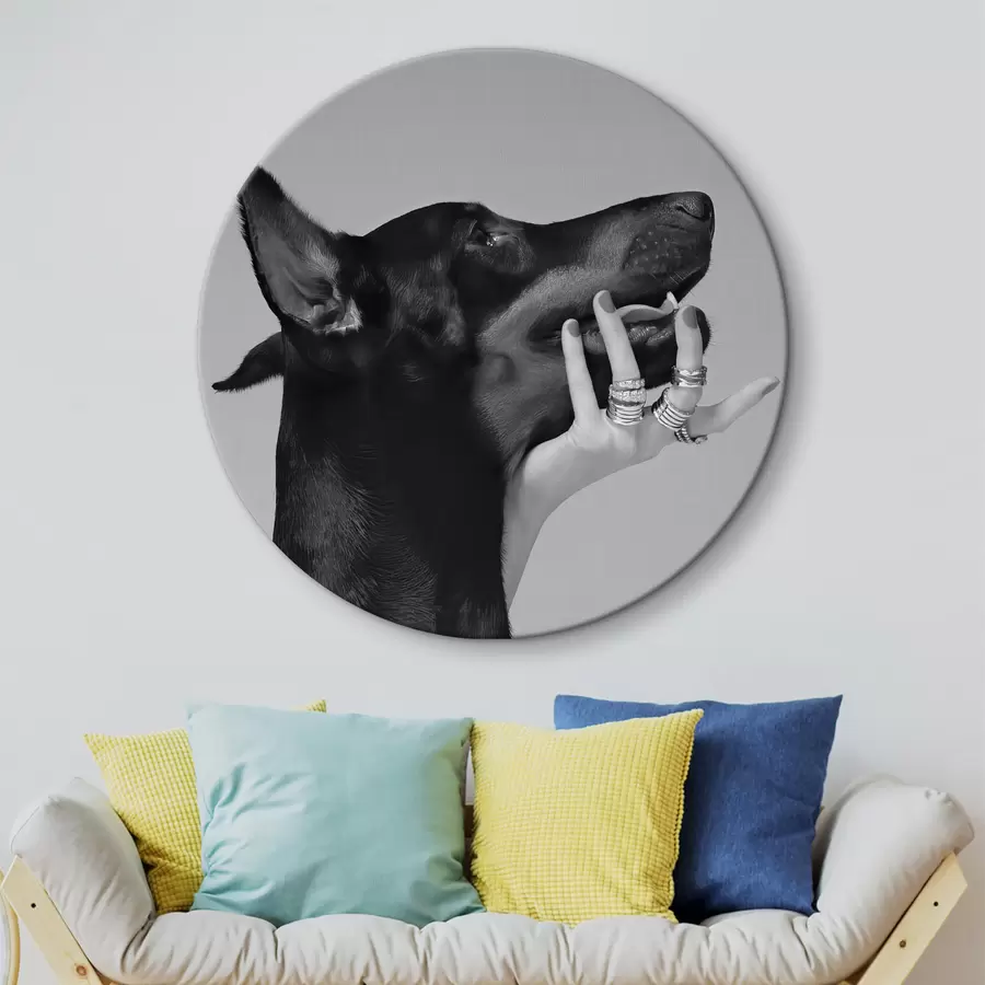  Schilderijen Zwart-witte Doberman met hoge neus r36178