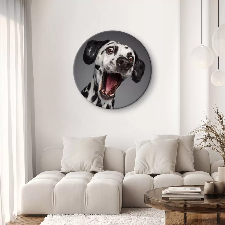  Schilderijen Een opgewonden puppy is klaar voor plezier! r37752