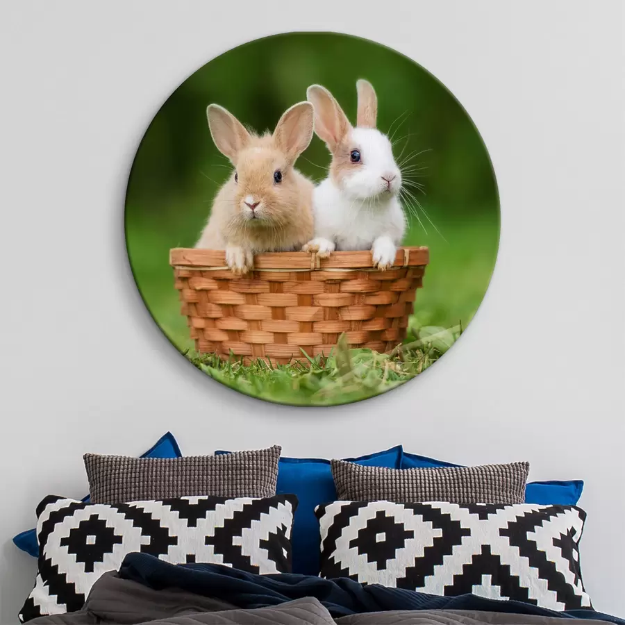  Schilderijen Schattige konijnen r37760