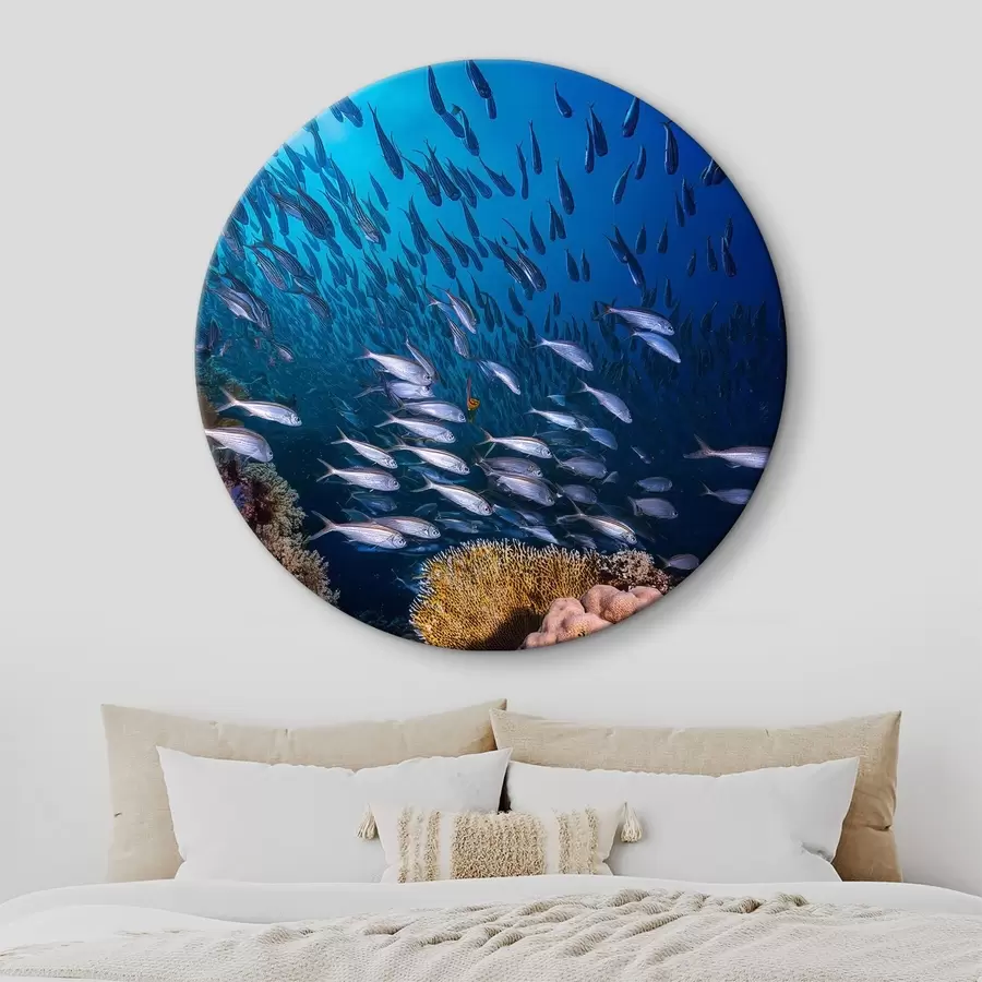  Schilderijen veel kleine vissen bij het koraal r39625