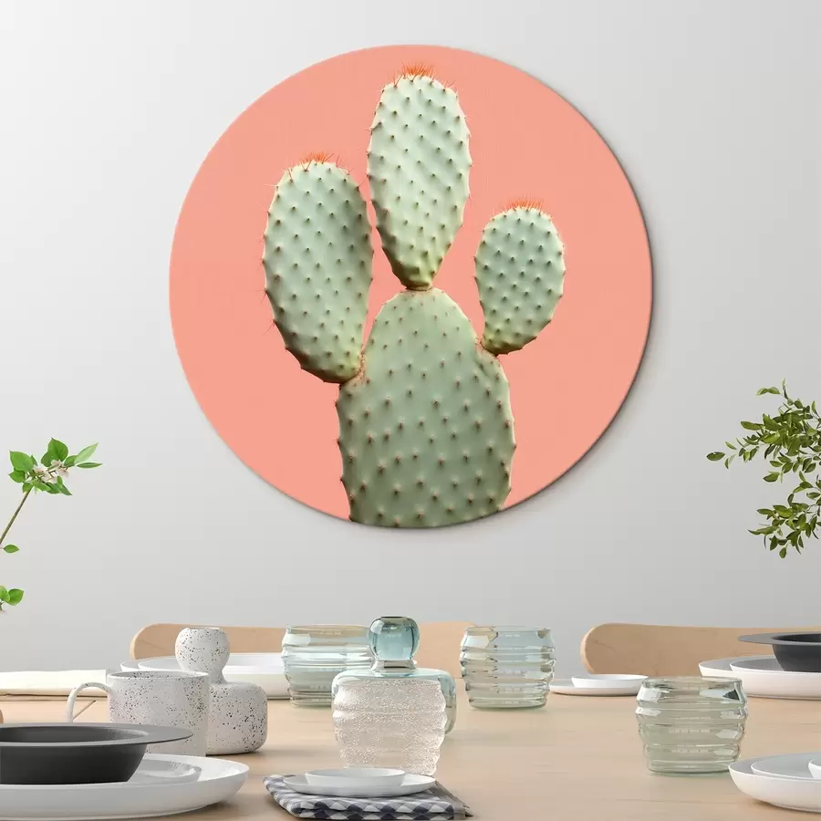  Schilderijen Cactus minimalisme op roze achtergrond r42412