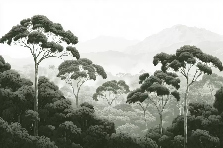 Fotobehang Junglebos, bergen, tropisch, natuur, grote bomen, donkergroene kleuren w02739v1