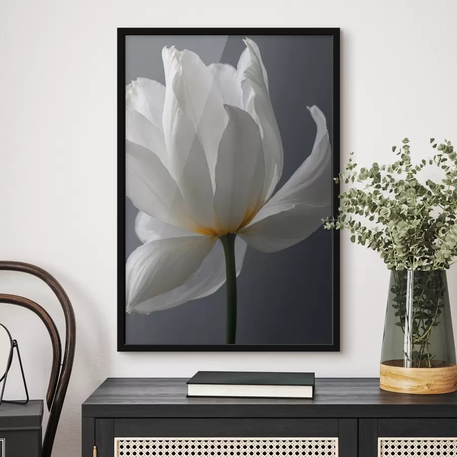  Peintures Fleurs blanches sur fond blanc f42779