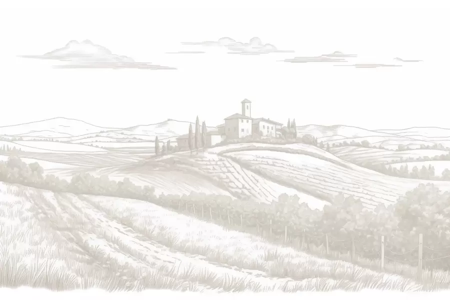 Papier peint photo Paysages de Toscane, Italie, vignobles, nature, vieux château, couleurs beiges w03349