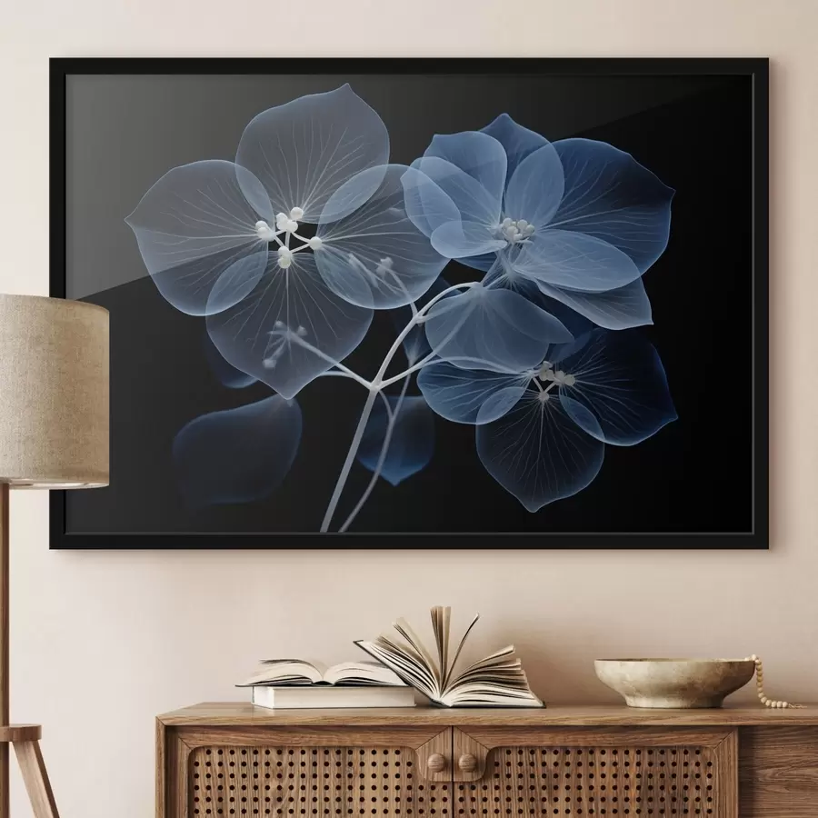 Papier peint photo Une fleur d'hortensia bleu translucide avec des étamines bleues et une tige délicate, sur un fond noir f43395
