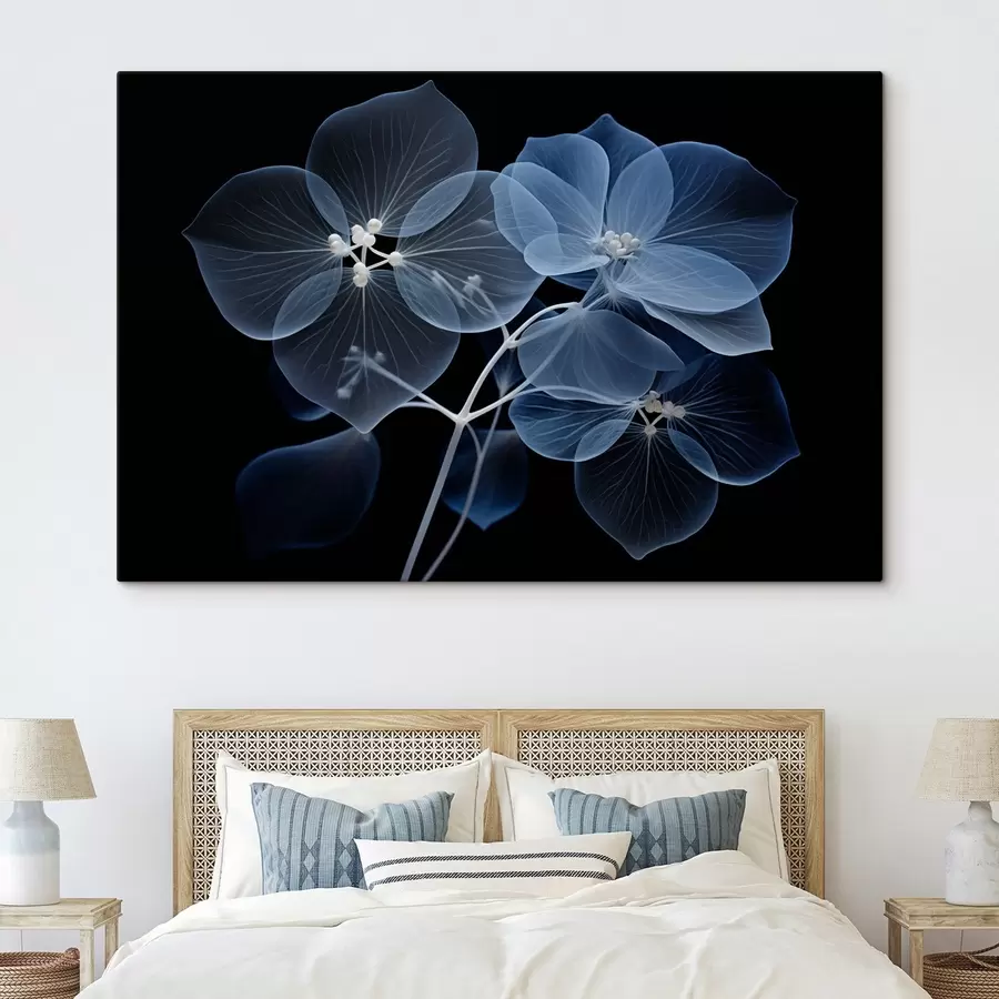  Schilderijen Een doorschijnende blauwe hortensiabloem met blauwe meeldraden en een fijne steel, tegen een zwarte achtergrond s43395